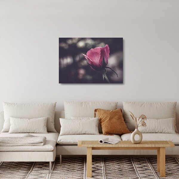 Obraz na szkle - Detal kwiatu róży (70x50 cm)