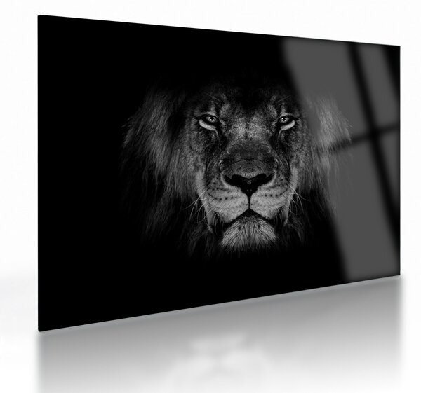 Obraz na szkle - lew i jego majestatyczność (70x50 cm)