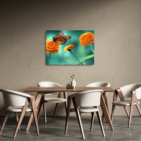 Obraz na szkle motyla (70x50 cm)