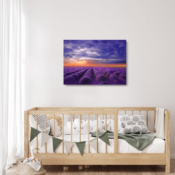 Obraz na szkle lawendowego pola (70x50 cm)