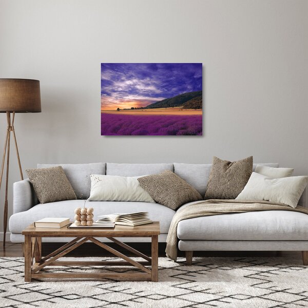 Obraz na szkle lawendowej łąki (70x50 cm)