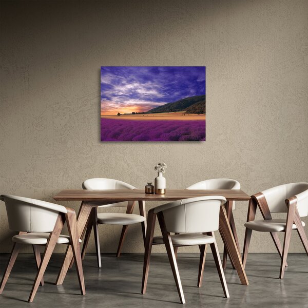 Obraz na szkle lawendowej łąki (70x50 cm)