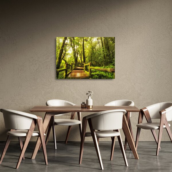 Obraz na szkle omszałej dżungli (70x50 cm)