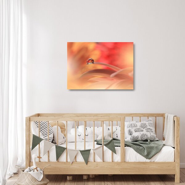 Obraz na szkle kwiecistej kropli rosy (70x50 cm)