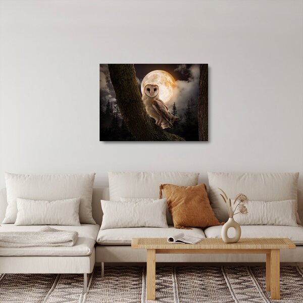 Obraz na szkle sowy palonej (70x50 cm)
