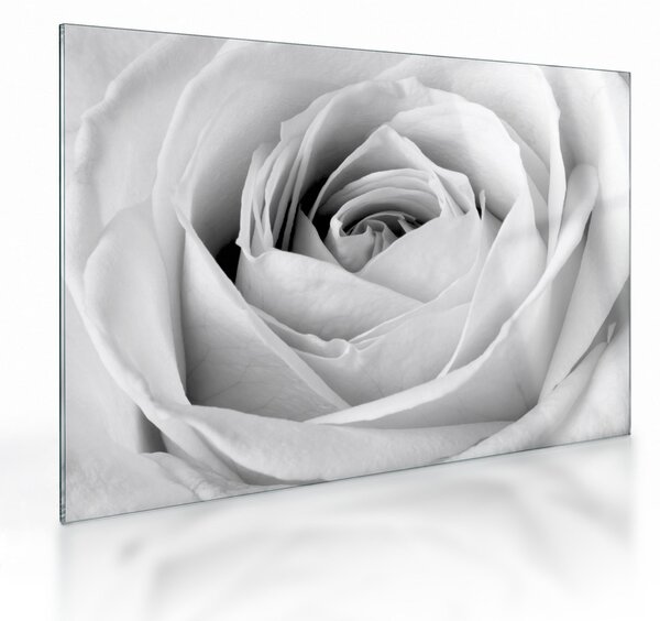 Obraz na szkle - Detal kwiatu róży (70x50 cm)