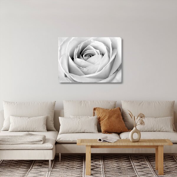 Obraz na szkle - Detal kwiatu róży (70x50 cm)
