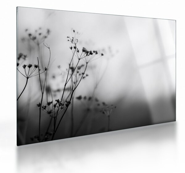 Obraz na szkle - Detal kwiatów polnych (70x50 cm)