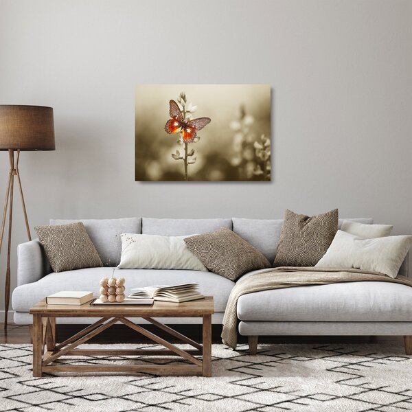 Obraz na szkle motyla (70x50 cm)