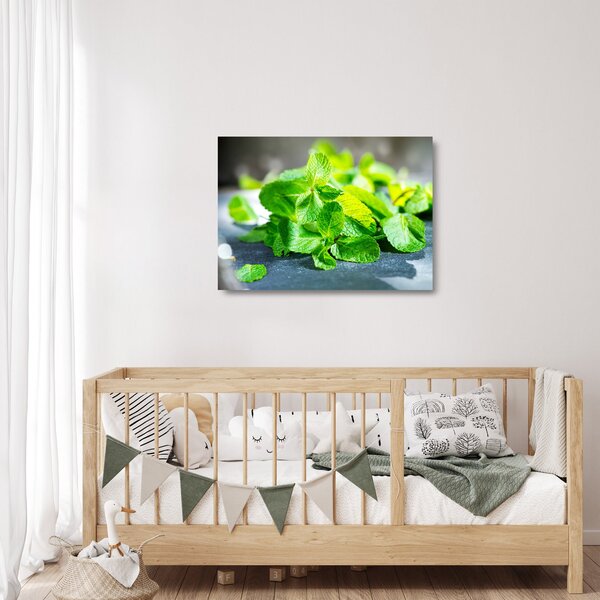 Obraz na szkle mięty (70x50 cm)
