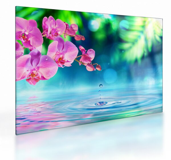 Obraz na szkle - Orchidea (70x50 cm)