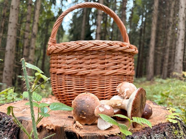 ČistéDřevo Kosz wiklinowy okrągły naturalny