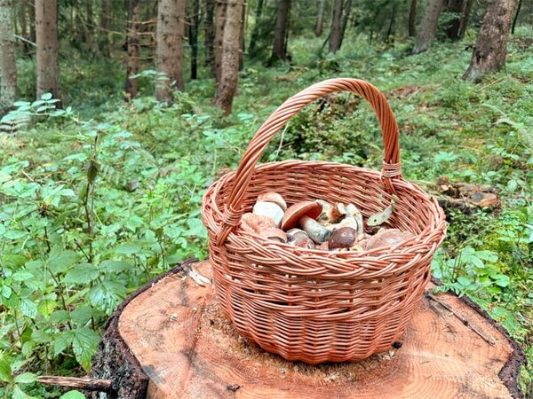 ČistéDřevo Kosz wiklinowy okrągły naturalny
