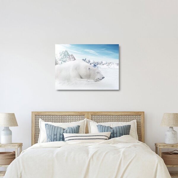 Obraz na szkle - Niedźwiedź polarny (70x50 cm)