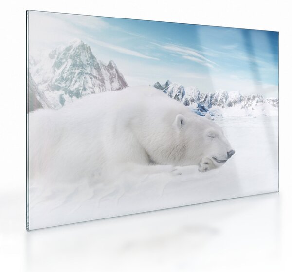 Obraz na szkle - Niedźwiedź polarny (70x50 cm)