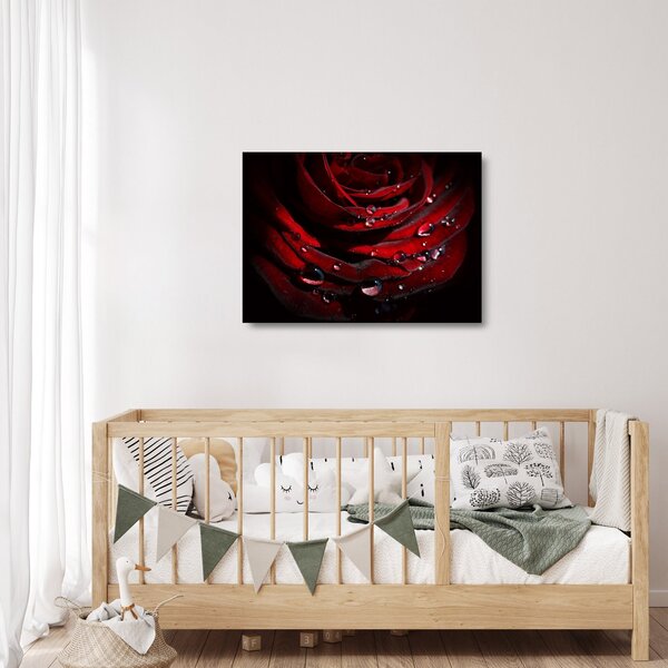 Obraz na szkle - Detal róży (70x50 cm)