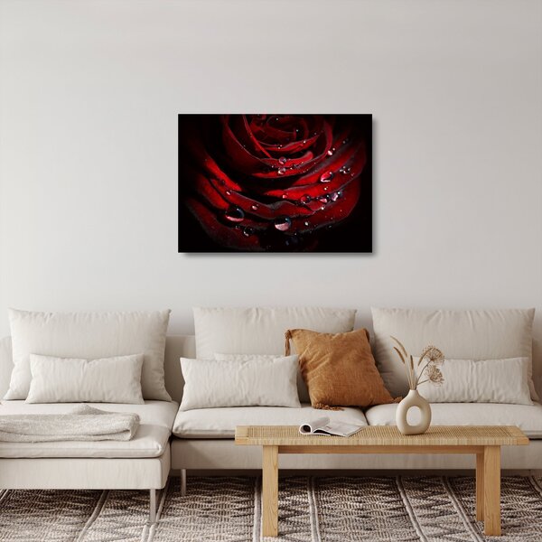 Obraz na szkle - Detal róży (70x50 cm)