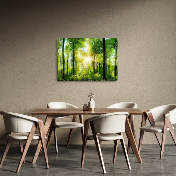 Obraz na szkle - Świt w lesie (70x50 cm)