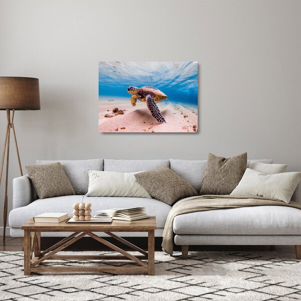 Obraz na szkle żółwia w oceanie (70x50 cm)