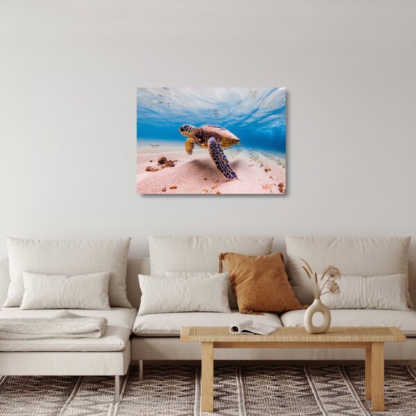Obraz na szkle żółwia w oceanie (70x50 cm)