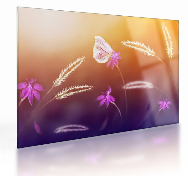 Obraz na szkle - Różowy motyl (70x50 cm)