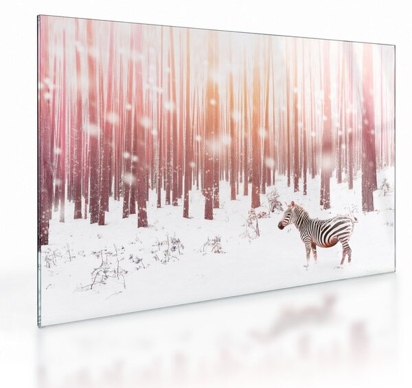 Obraz na szkle - Zebra w śnieżnym lesie (70x50 cm)