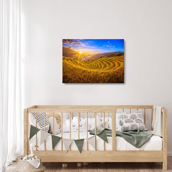 Obraz na szkle - Pole ryżowe w Wietnamie (70x50 cm)