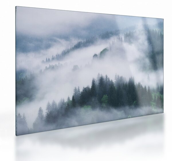 Obraz na szkle - Drzewa we mgle (70x50 cm)