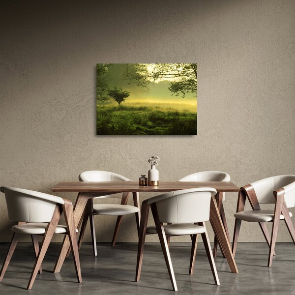 Obraz na szkle - Budzący się las (70x50 cm)