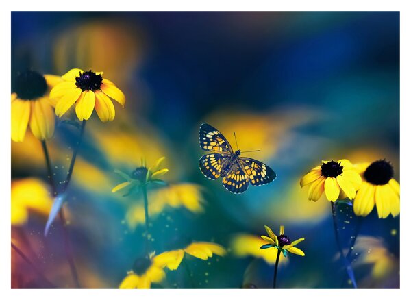 Obraz na szkle - Żółty motyl z kwiatami (70x50 cm)