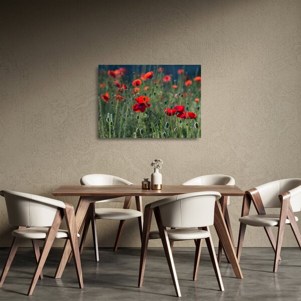 Obraz na szkle - Łąka z makami (70x50 cm)