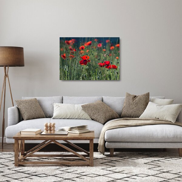 Obraz na szkle - Łąka z makami (70x50 cm)