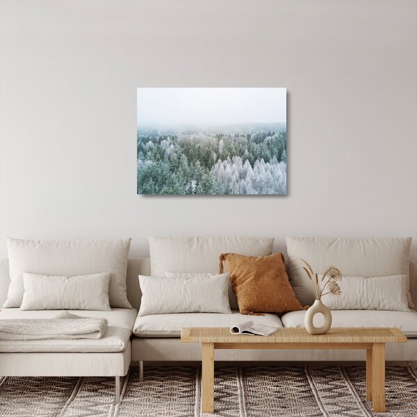 Obraz na szkle - Ośnieżone szczyty lasów (70x50 cm)