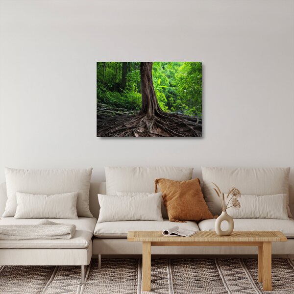 Obraz na szkle - Stare drzewo z korzeniami (70x50 cm)