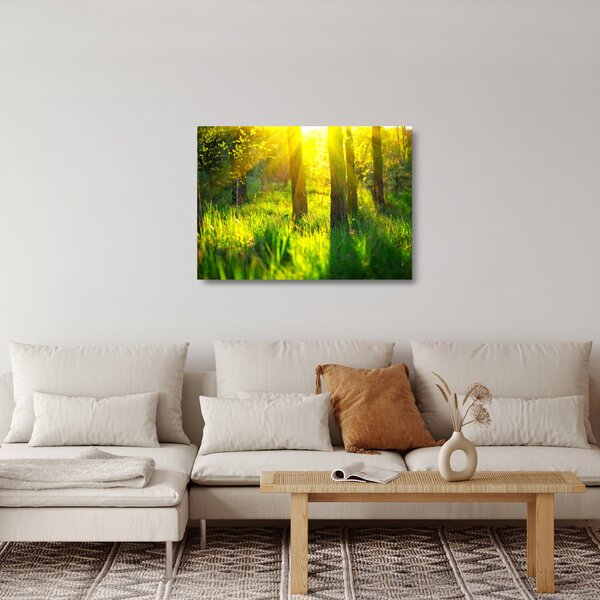 Obraz na szkle - Wiosenne przebudzenie lasu (70x50 cm)