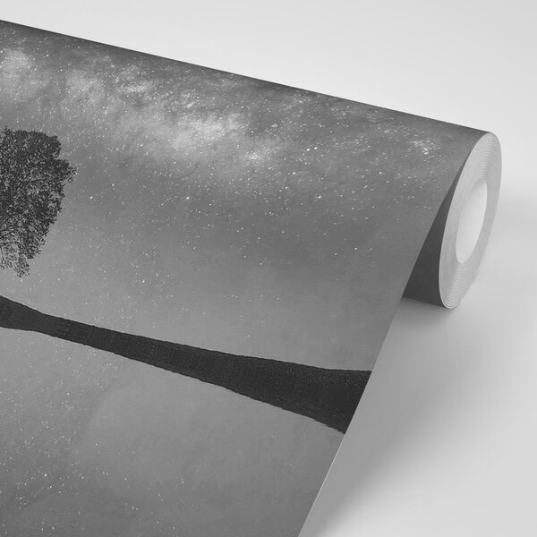 Fototapeta czarno-białe gwiaździste niebo nad samotnym drzewem