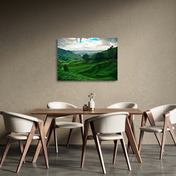 Obraz na szkle - Plantacje herbaty w Malezji (70x50 cm)