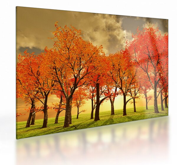 Obraz na szkle - Jesień (70x50 cm)
