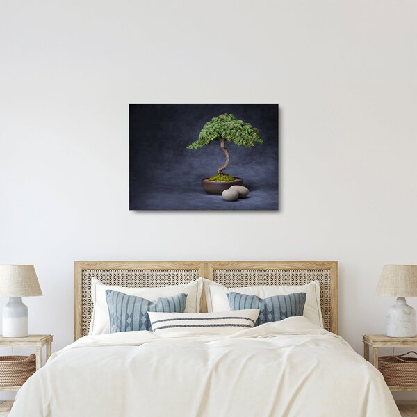 Obraz na szkle - Bonsai (70x50 cm)