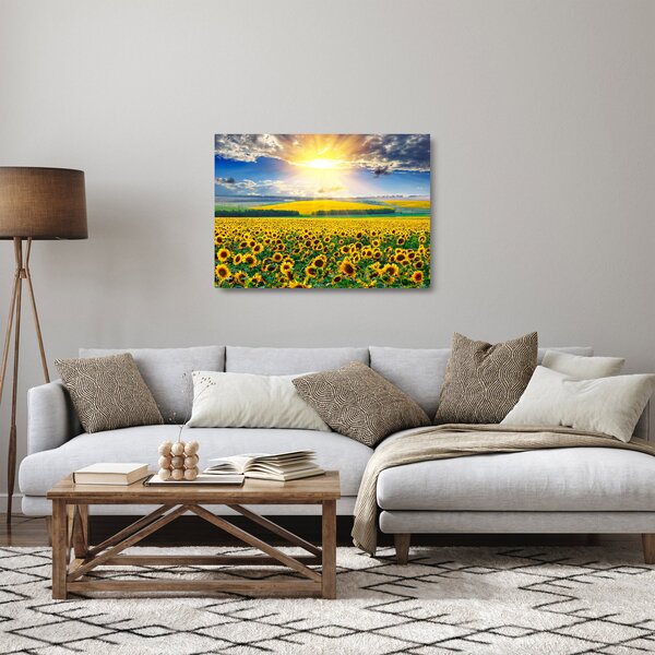 Obraz na szkle - Pole słoneczników (70x50 cm)