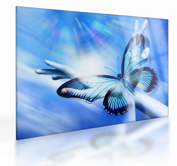 Obraz na szkle - Motyl, symbol nadziei (70x50 cm)