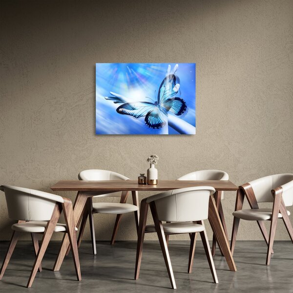 Obraz na szkle - Motyl, symbol nadziei (70x50 cm)