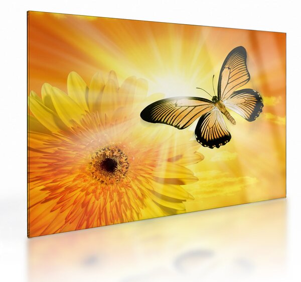 Obraz na szkle - Żółty motyl z kwiatkiem (70x50 cm)