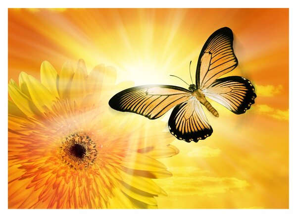 Obraz na szkle - Żółty motyl z kwiatkiem (70x50 cm)