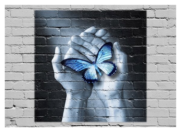 Obraz na szkle - Motyl na ścianie (70x50 cm)