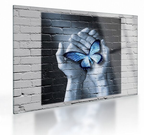 Obraz na szkle - Motyl na ścianie (70x50 cm)