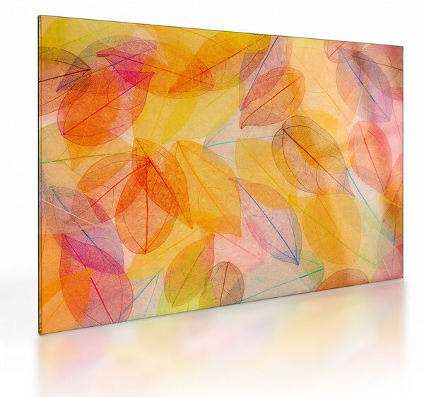 Obraz na szkle - Tło z jesiennych liści (70x50 cm)