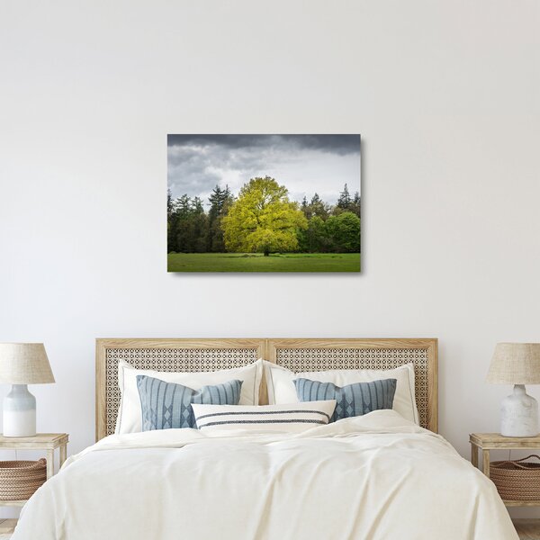 Obraz na szkle zielonego drzewa na środku pola (70x50 cm)