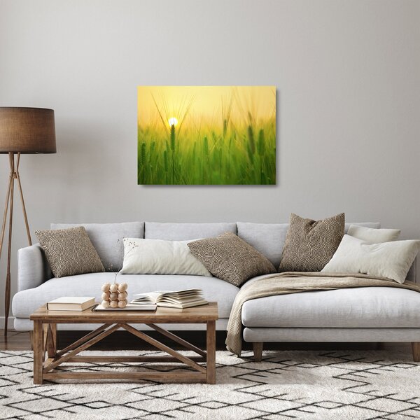 Obraz na szkle pola ze zbożem (70x50 cm)
