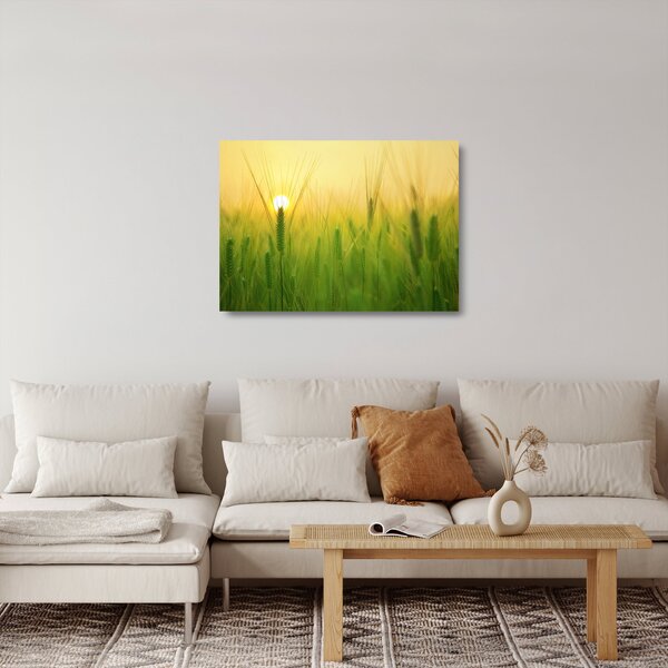 Obraz na szkle pola ze zbożem (70x50 cm)
